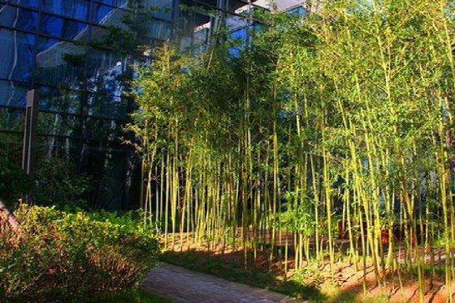 中建雁栖湖景酒店 北京 外观 照片